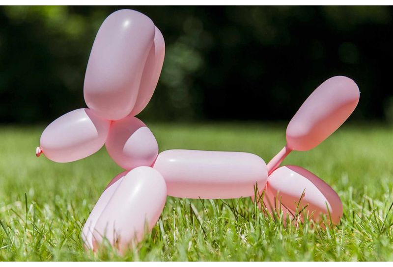 How to make a balloon dog