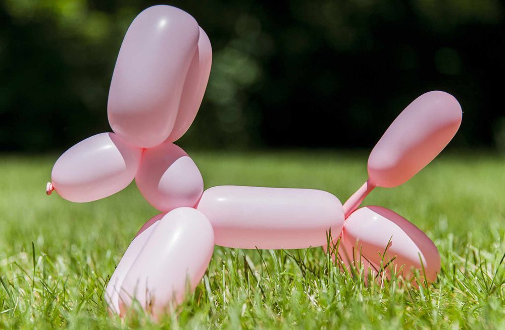 How to make a balloon dog
