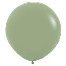 24" Fashion Eucalyptus (10pcs) Sempertex Balloons