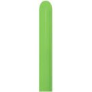 360 Fashion Lime Green (50pcs) Sempertex Balloons
