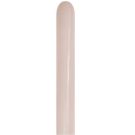 360 Fashion White Sand (50pcs) Sempertex Balloons