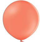 24" Standard Coral (5pcs) Belbal Balloons
