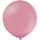 24" Standard Wild Rose (5pcs) Belbal Balloons