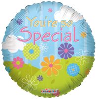 09" You're So Special Landscape Balloon