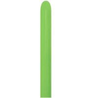 260 Fashion Lime Green (50pcs) Sempertex Balloons