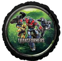 Standard Transformers Balloon