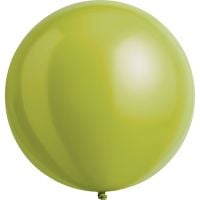 24" Fashion Sage (4pcs) Everts Balloons