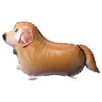Balloon Pet Dog Golden Retriever
