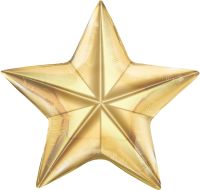24" Starbright Balloon
